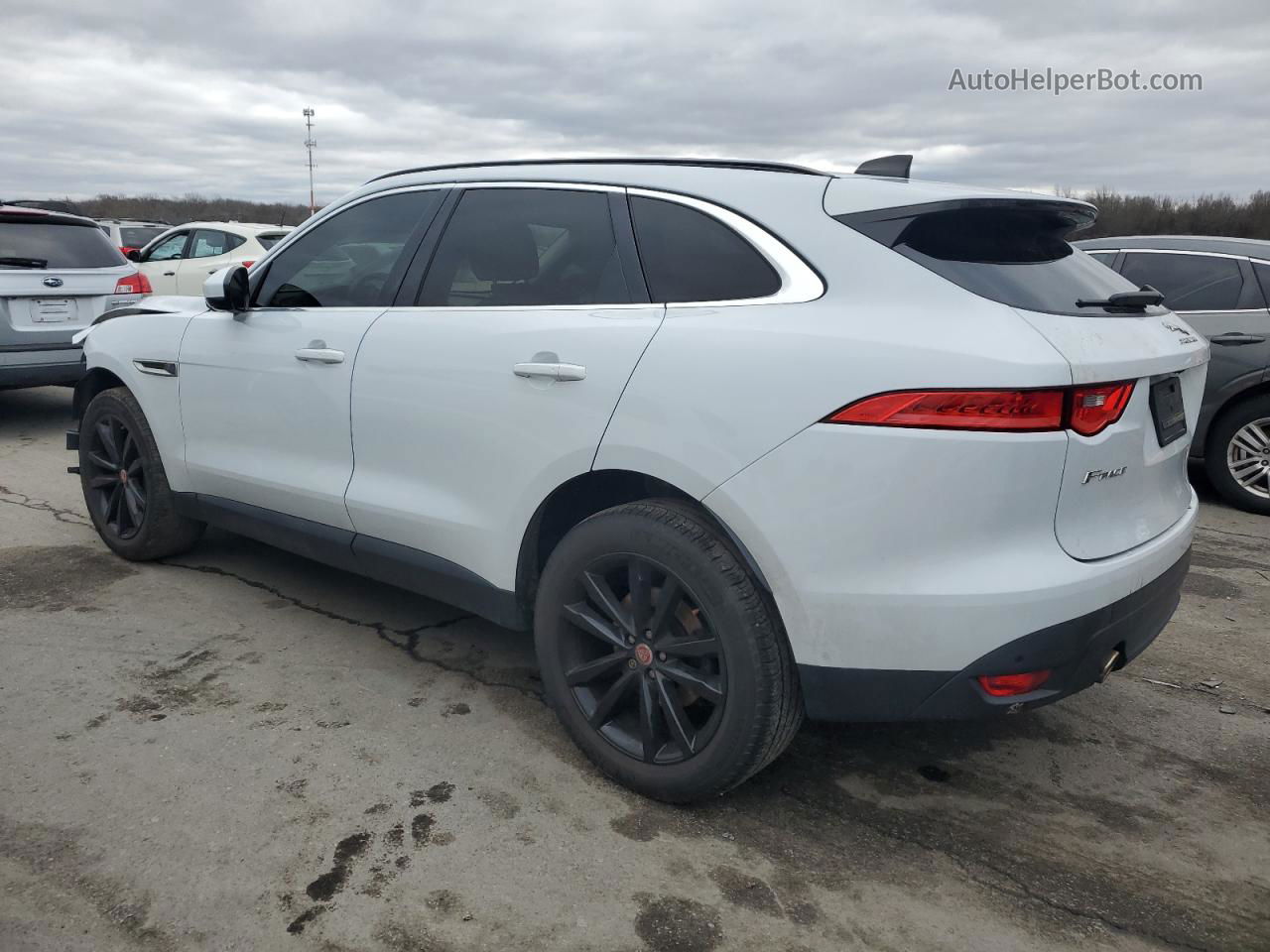 2020 Jaguar F-pace Prestige Белый vin: SADCK2GX3LA630474