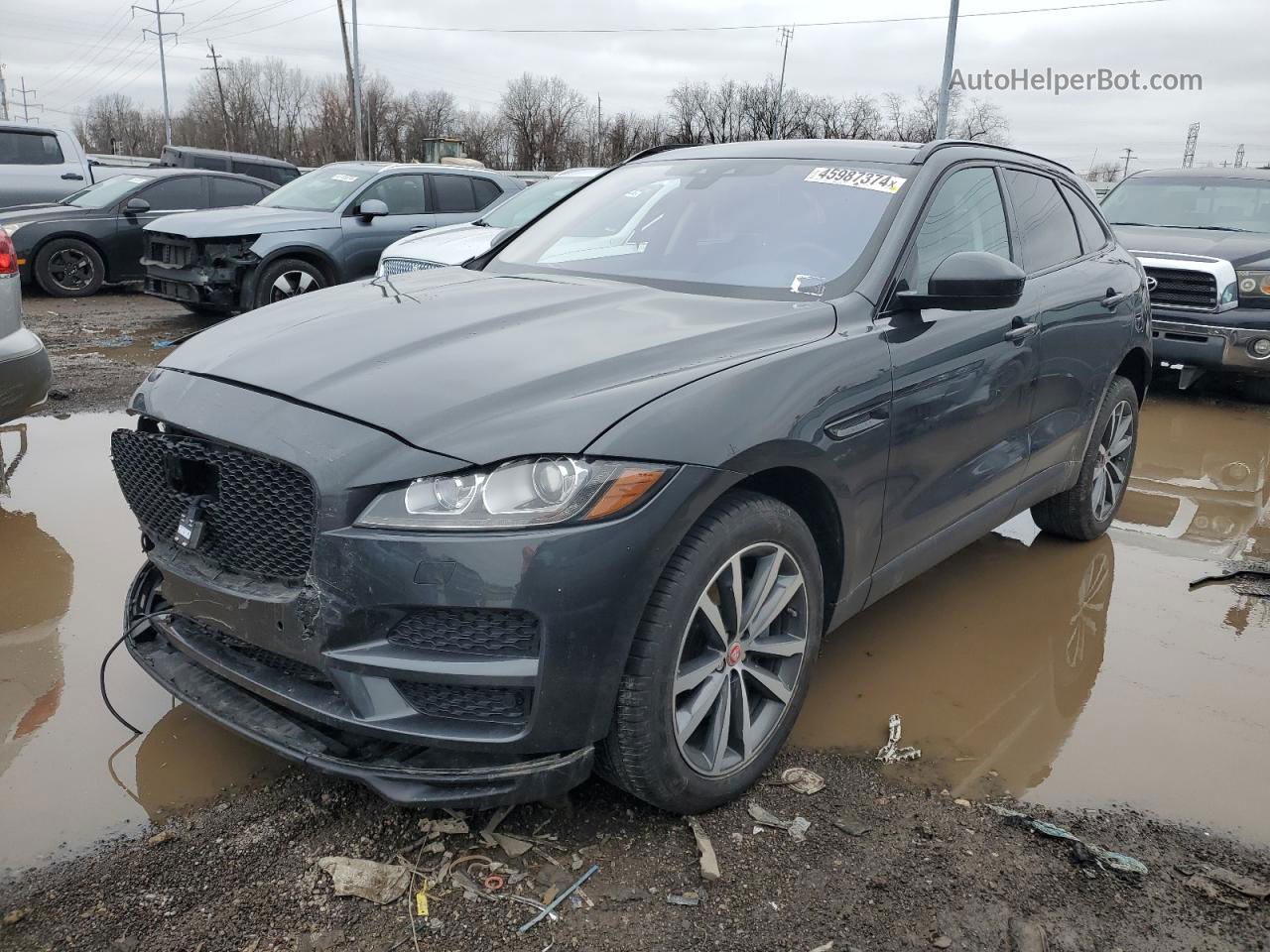 2019 Jaguar F-pace Prestige Gray vin: SADCK2GX7KA601400