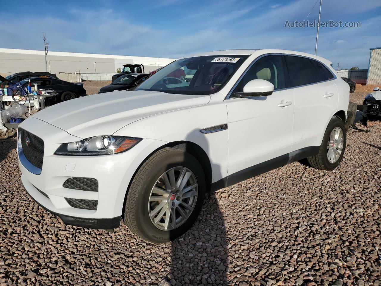 2020 Jaguar F-pace Prestige Белый vin: SADCK2GX8LA638182