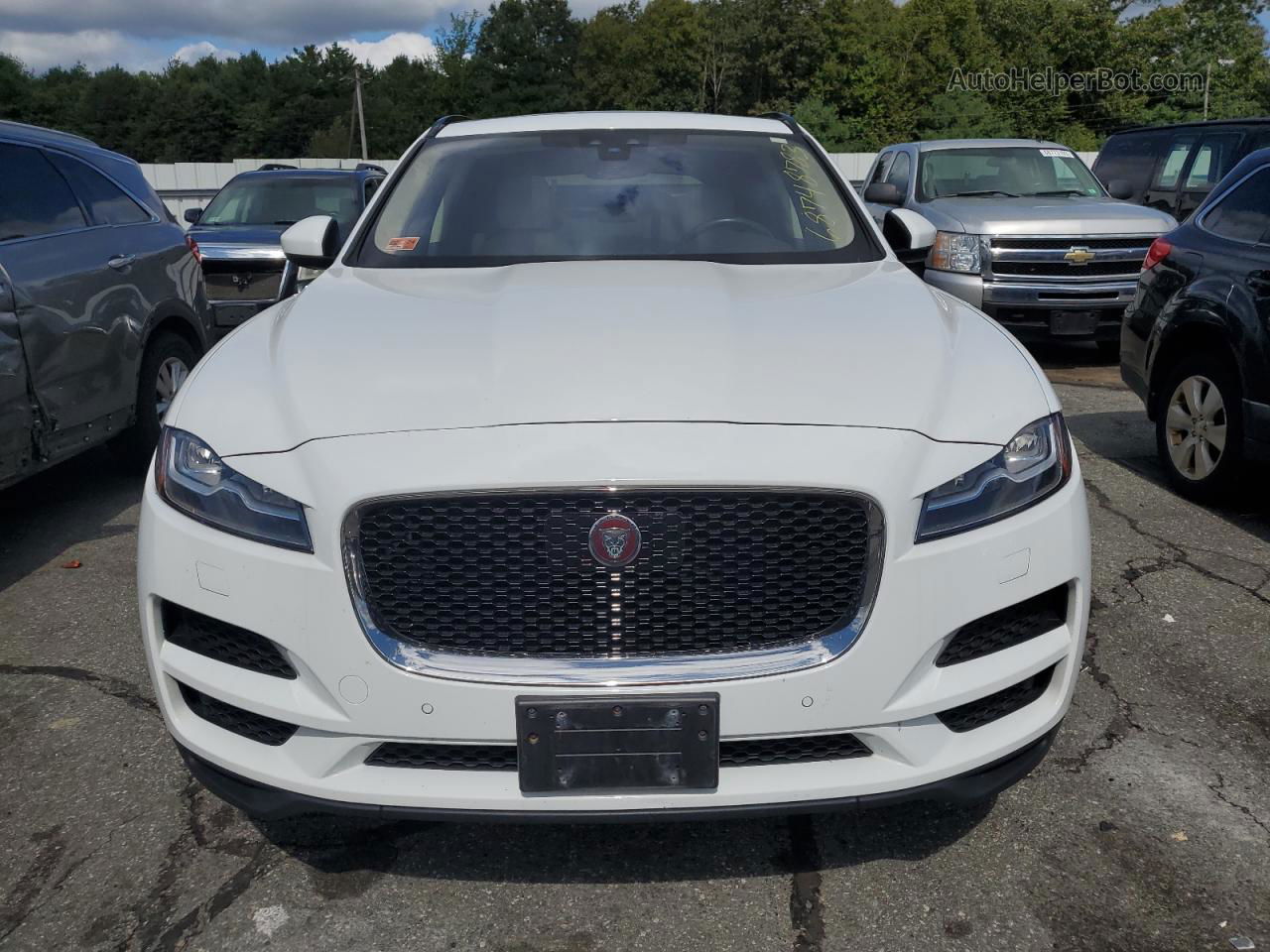 2019 Jaguar F-pace Prestige White vin: SADCK2GX9KA366045