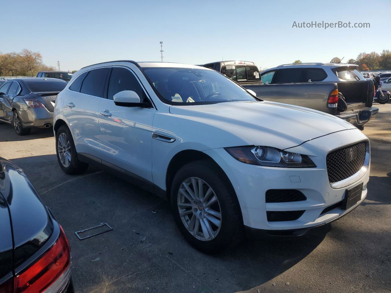 2019 Jaguar F-pace Prestige Белый vin: SADCK2GX9KA601544