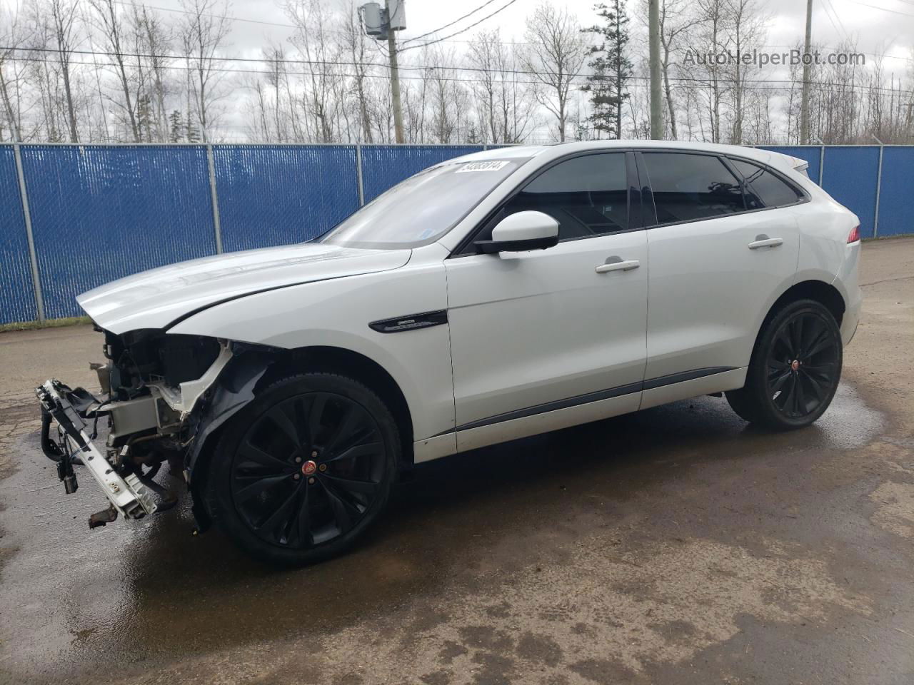 2019 Jaguar F-pace R - Sport White vin: SADCL2FX7KA364583