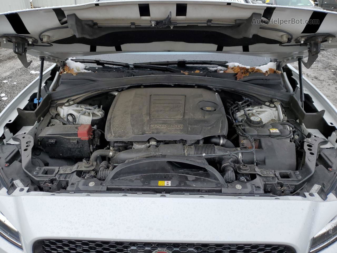 2019 Jaguar F-pace R - Sport White vin: SADCL2GX1KA397013