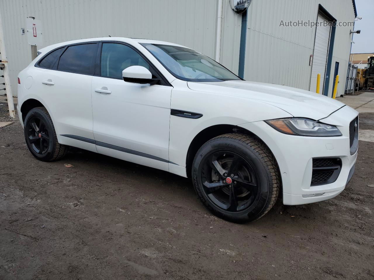 2020 Jaguar F-pace R - Sport Белый vin: SADCL2GX1LA642037