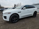 2020 Jaguar F-pace R - Sport Белый vin: SADCL2GX1LA642037