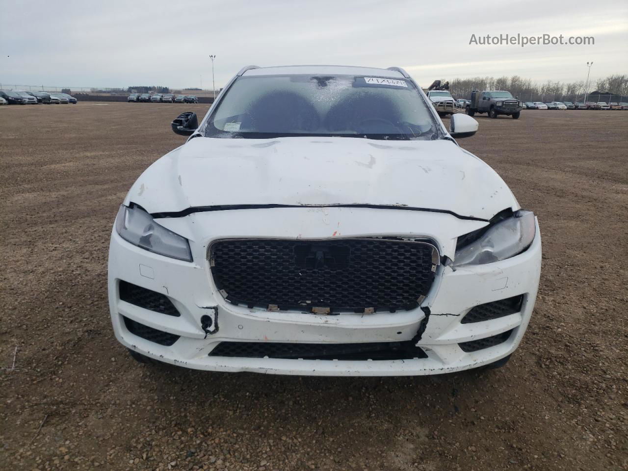 2019 Jaguar F-pace Portfolio White vin: SADCN2GX4KA367367