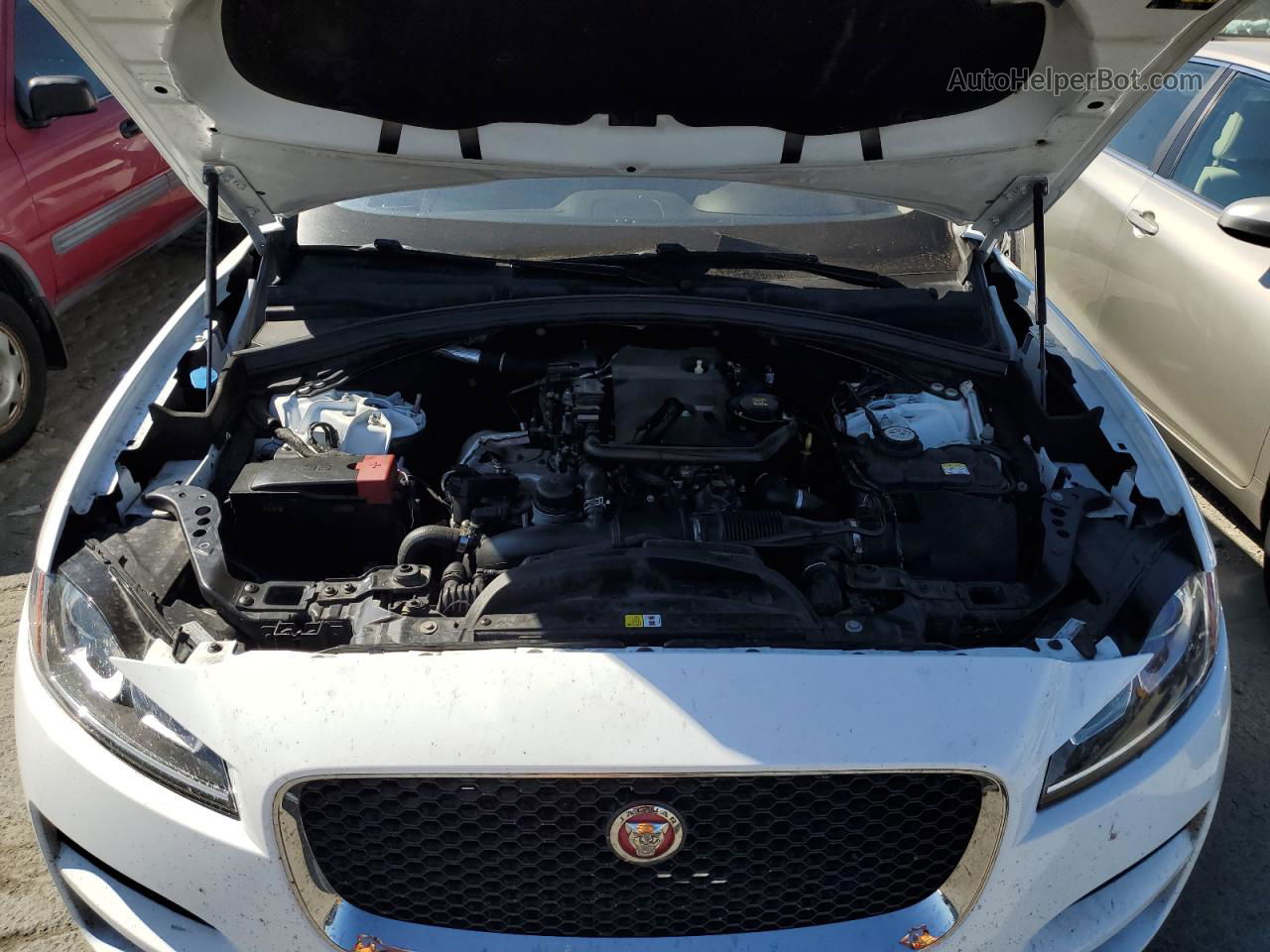 2019 Jaguar F-pace  White vin: SADCS2FX0KA605855