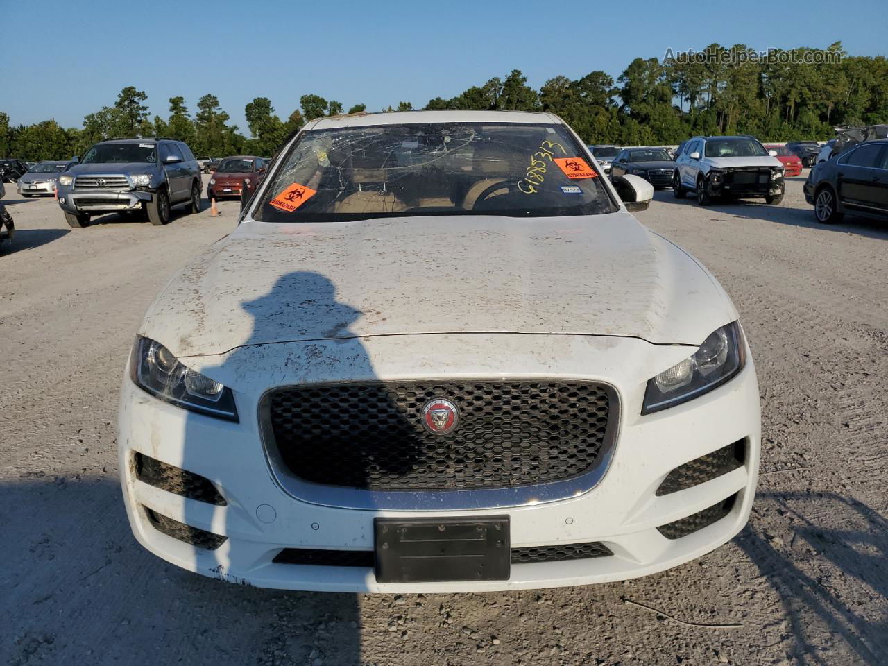 2019 Jaguar F-pace  White vin: SADCS2FX5KA391042