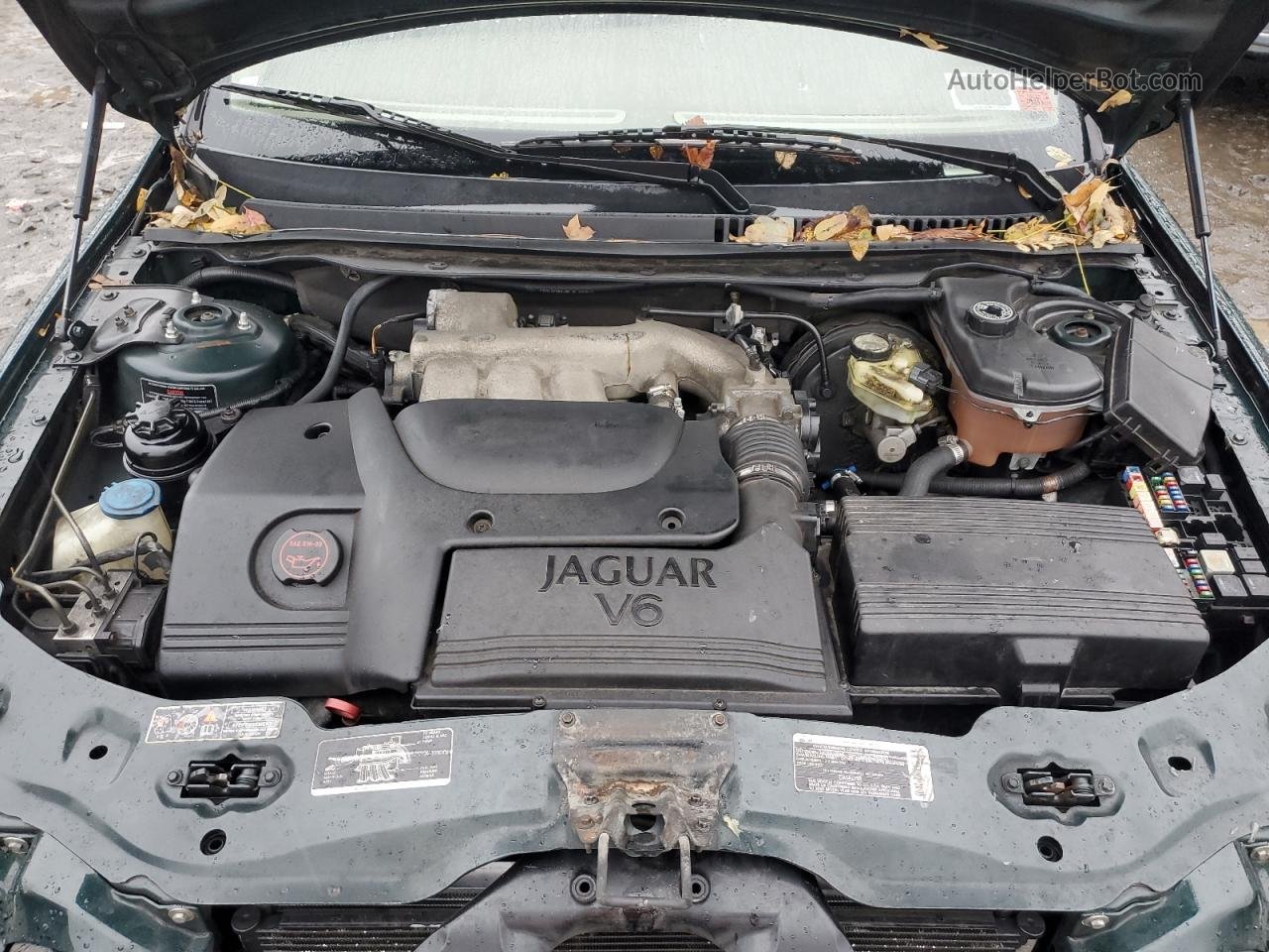 2003 Jaguar X-type 3.0 Зеленый vin: SAJEA51C53WD20414