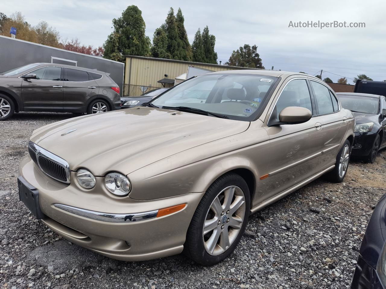 2003 Jaguar X-type 3.0 Золотой vin: SAJEB51C03WC86542