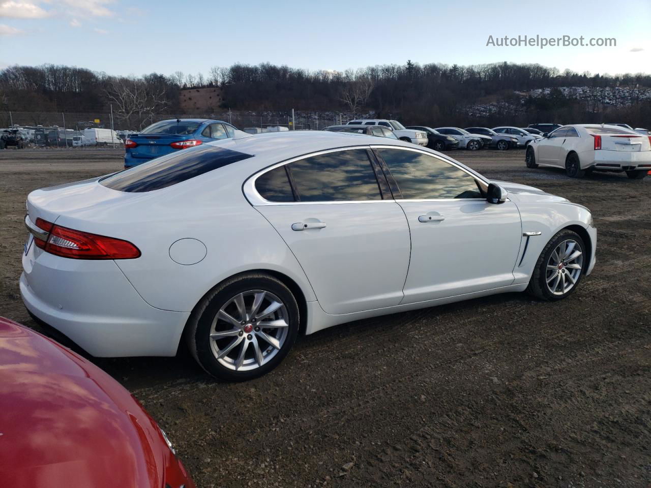 2015 Jaguar Xf 2.0t Premium White vin: SAJWA0FS1FPU39113