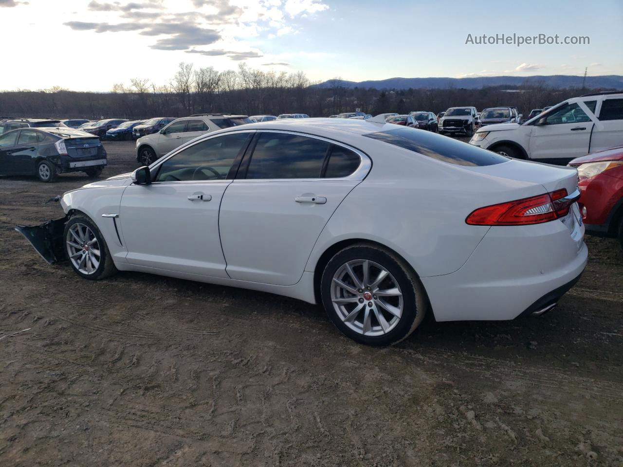 2015 Jaguar Xf 2.0t Premium White vin: SAJWA0FS1FPU39113