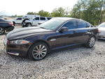 2015 Jaguar Xf 2.0t Premium Фиолетовый vin: SAJWA0FS9FPU66897