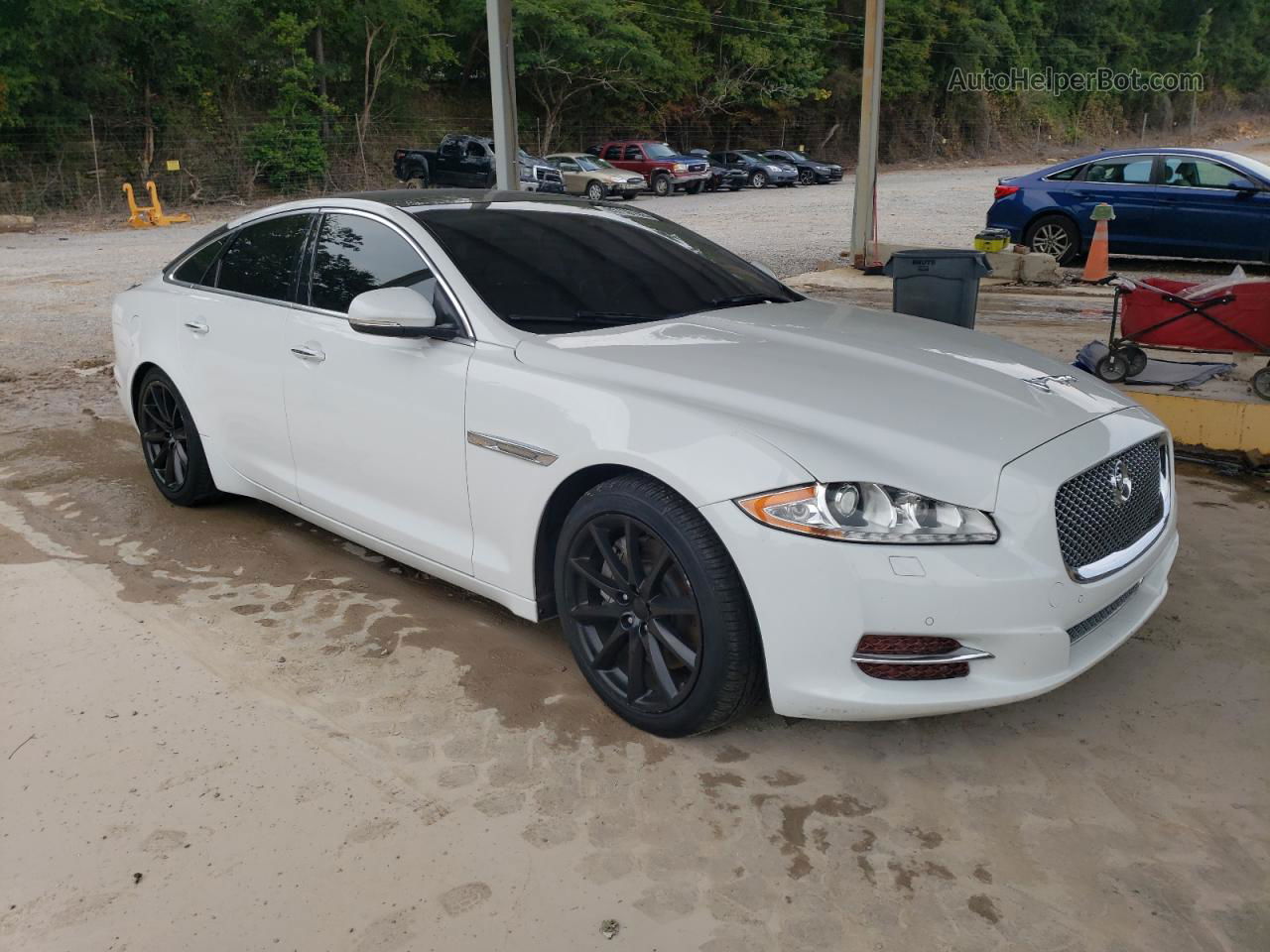 2013 Jaguar Xj  White vin: SAJWA1C71D8V44246