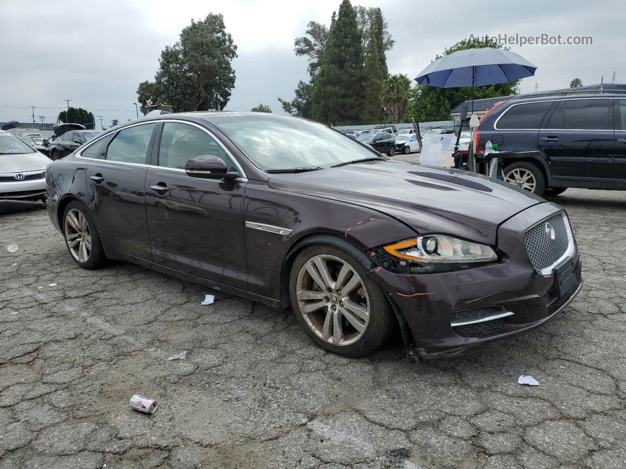 2013 Jaguar Xj  Maroon vin: SAJWA1C79D8V41546