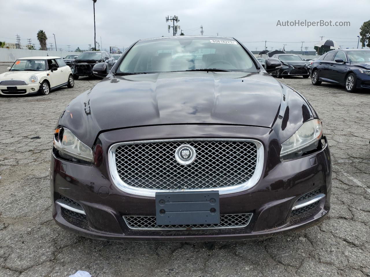 2013 Jaguar Xj  Maroon vin: SAJWA1C79D8V41546