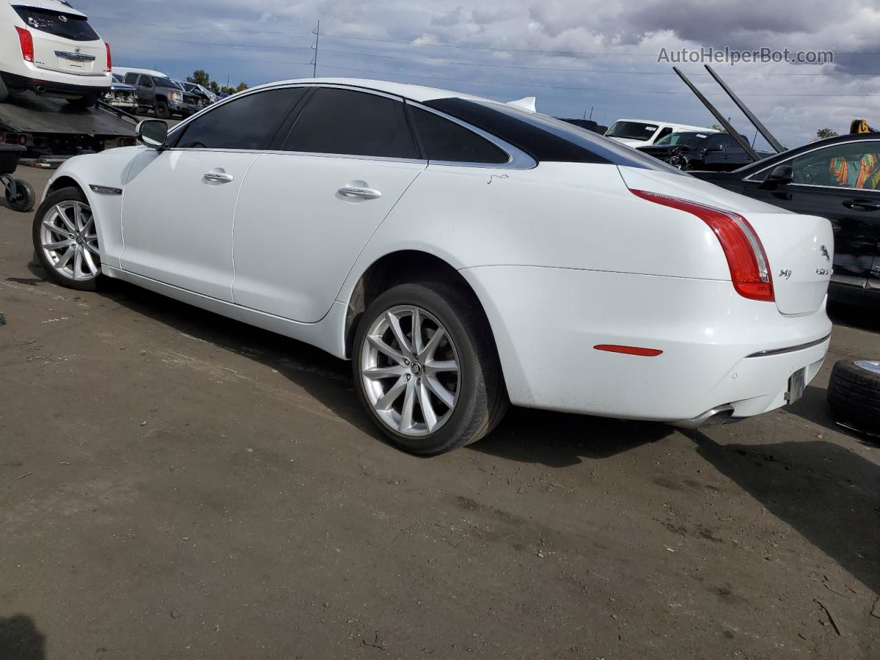 2013 Jaguar Xj  Белый vin: SAJWA1C79D8V57293