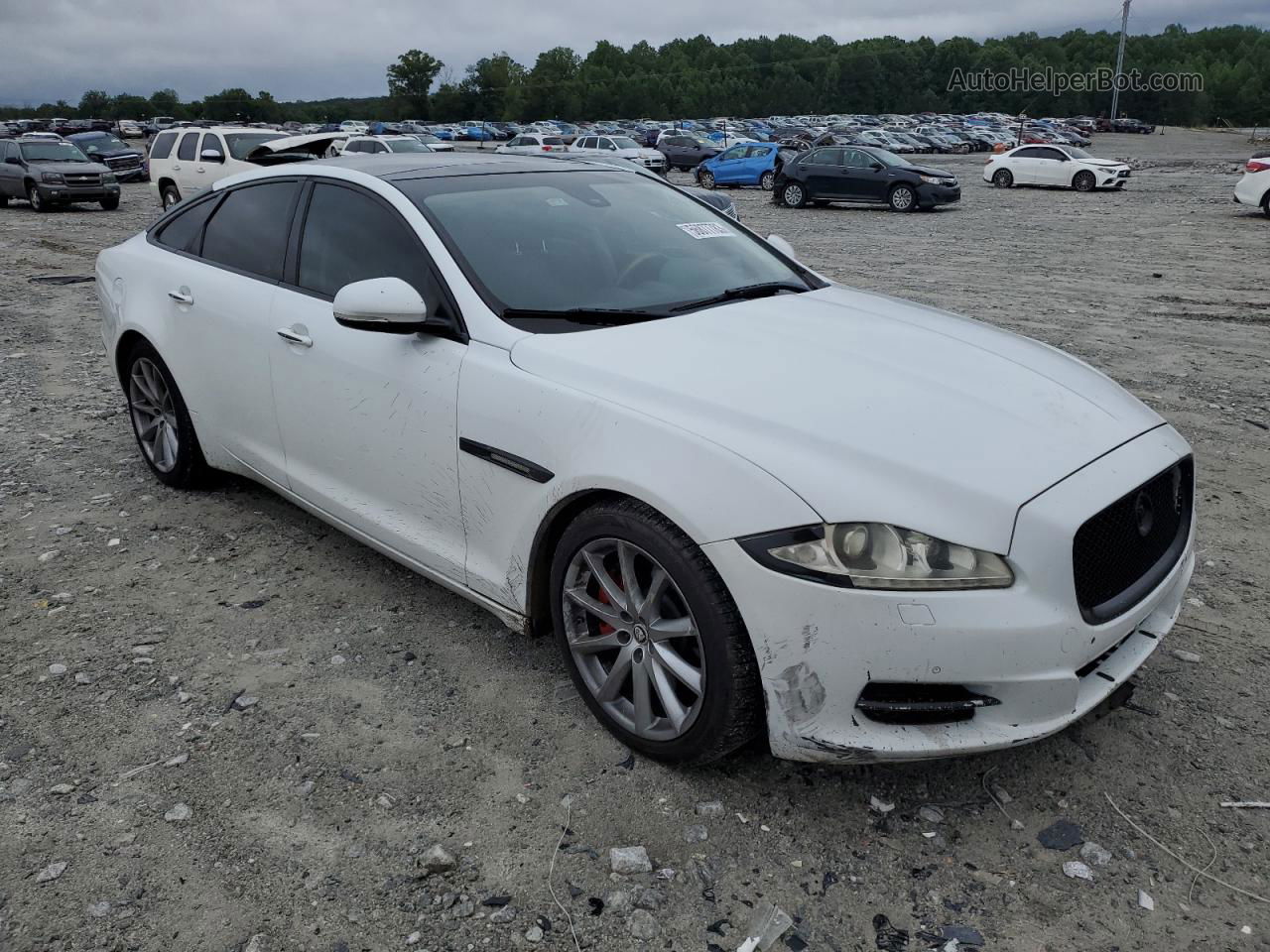 2012 Jaguar Xj  Белый vin: SAJWA1CB0CLV29740