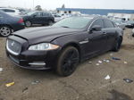 2013 Jaguar Xjl Portfolio Burgundy vin: SAJWA2GB3DLV49076