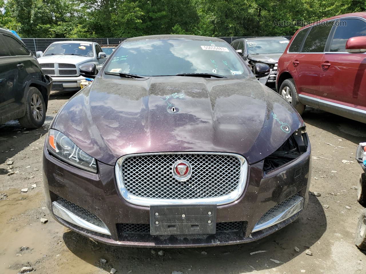 2015 Jaguar Xf 3.0 Sport Awd Burgundy vin: SAJWJ0FF8F8U56794