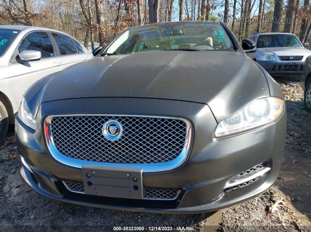 2013 Jaguar Xj   Gray vin: SAJWJ1CD0D8V38914