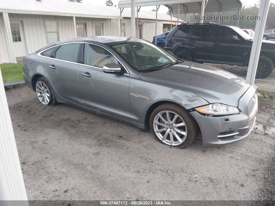 2013 Jaguar Xj   Gray vin: SAJWJ1CD4D8V46305