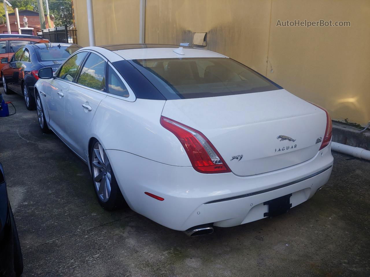 2013 Jaguar Xj White vin: SAJWJ1CD7D8V49599