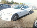 2013 Jaguar Xj   White vin: SAJWJ1CD7D8V56102