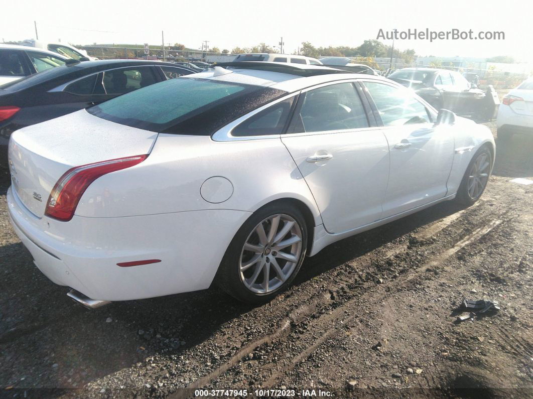 2013 Jaguar Xj   White vin: SAJWJ1CD7D8V56102