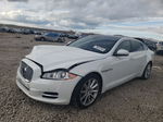 2013 Jaguar Xjl Portfolio Белый vin: SAJWJ2GD6D8V47844