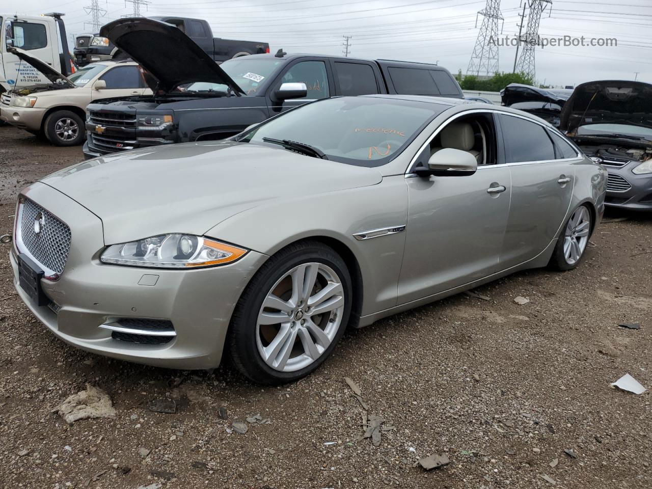 2013 Jaguar Xjl Portfolio Beige vin: SAJWJ2GD9D8V45893