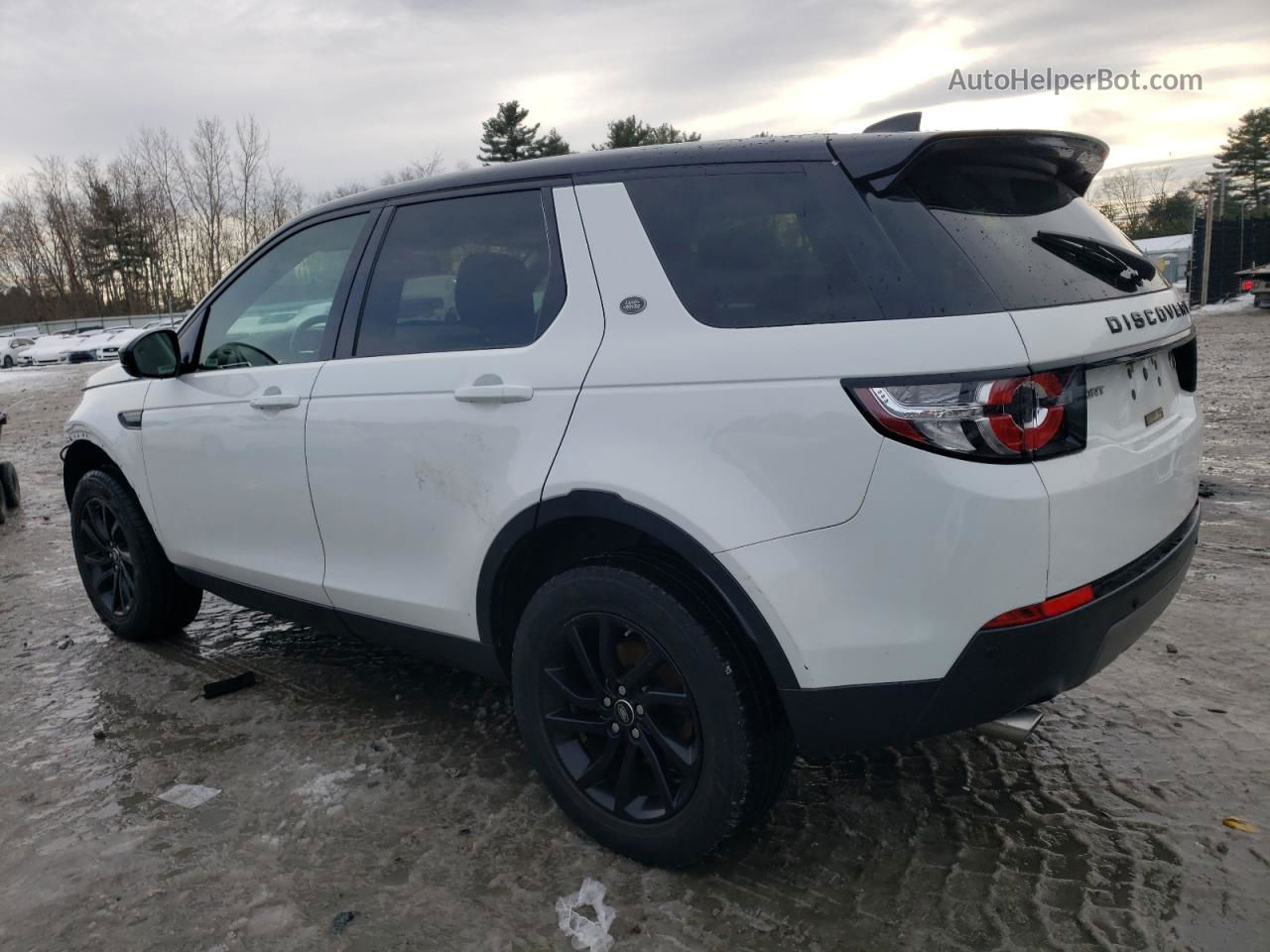 2019 Land Rover Discovery Sport Se Белый vin: SALCP2FXXKH808023