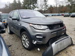 2019 Land Rover Discovery Sport Hse Gray vin: SALCR2FX8KH802151