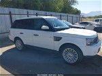 2011 Land Rover Range Rover Sport Hse Белый vin: SALSF2D41BA706867