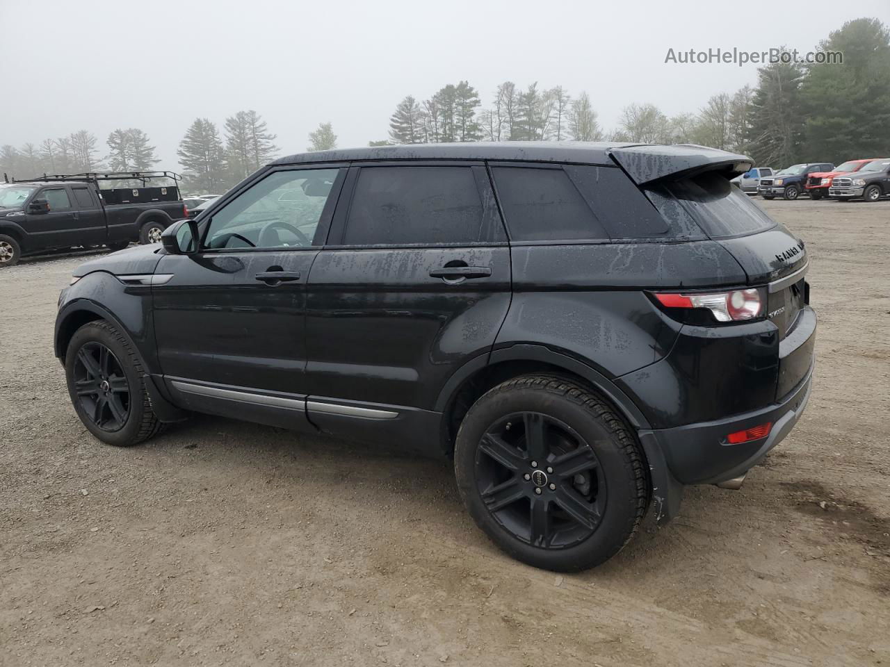 2014 Land Rover Range Rover Evoque Pure Plus Black vin: SALVP2BG0EH877922