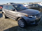 2017 Land Rover Range Rover Evoque Se Gray vin: SALVP2BG5HH235717