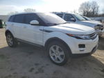 2015 Land Rover Range Rover Evoque Pure Plus White vin: SALVP2BG6FH989688