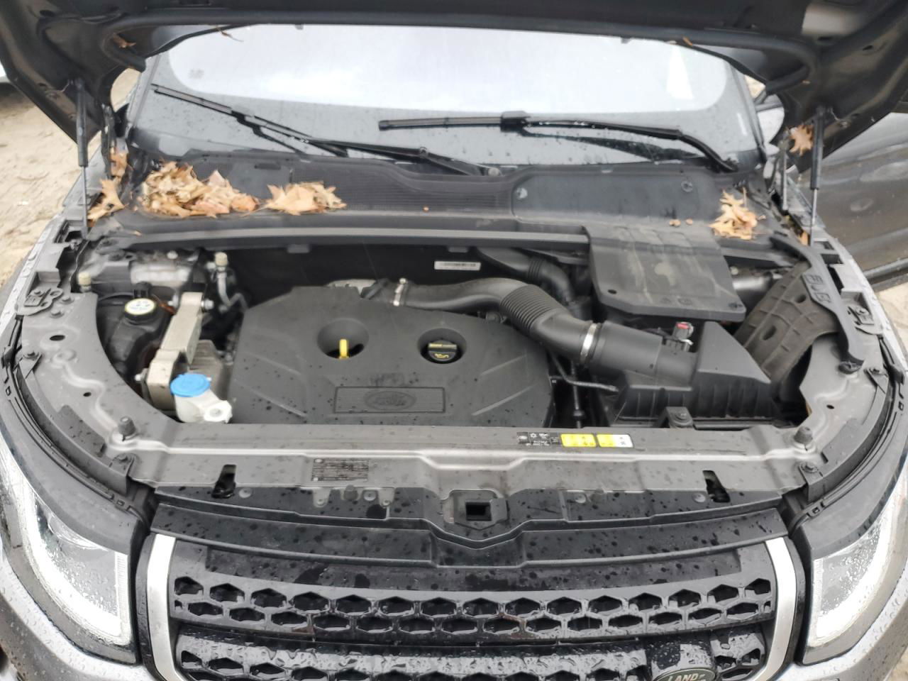 2017 Land Rover Range Rover Evoque Se Gray vin: SALVP2BGXHH185803