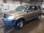 2004 Honda Cr-v Lx Tan vin: SHSRD68414U201265