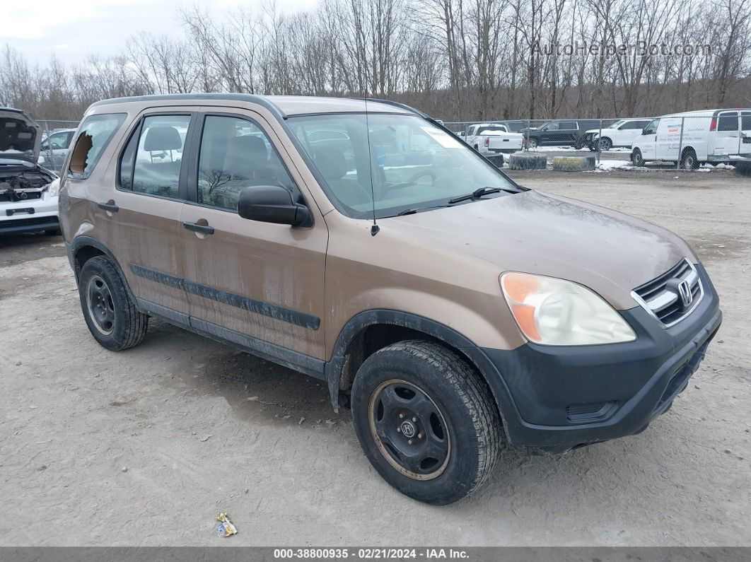 2004 Honda Cr-v Lx Brown vin: SHSRD77434U211271