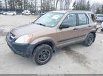 2004 Honda Cr-v Lx Brown vin: SHSRD77434U211271