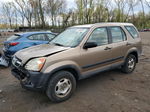 2004 Honda Cr-v Lx Gold vin: SHSRD78484U226220