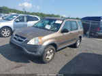 2004 Honda Cr-v Lx Beige vin: SHSRD78494U214478