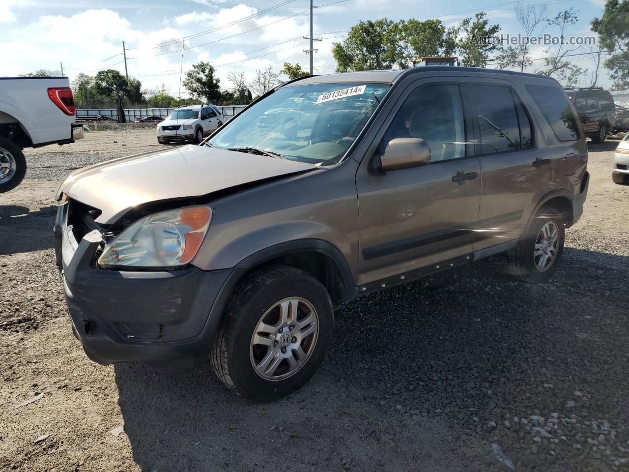 2004 Honda Cr-v Ex Желто-коричневый vin: SHSRD78814U238907