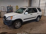 2004 Honda Cr-v Ex White vin: SHSRD78814U255299