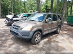 2004 Honda Cr-v Ex Brown vin: SHSRD78824U238673