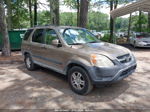 2004 Honda Cr-v Ex Brown vin: SHSRD78824U238673