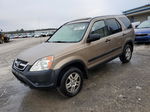 2004 Honda Cr-v Ex Коричневый vin: SHSRD78834U207254