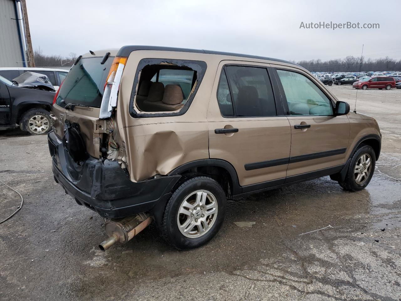 2004 Honda Cr-v Ex Brown vin: SHSRD78834U207254