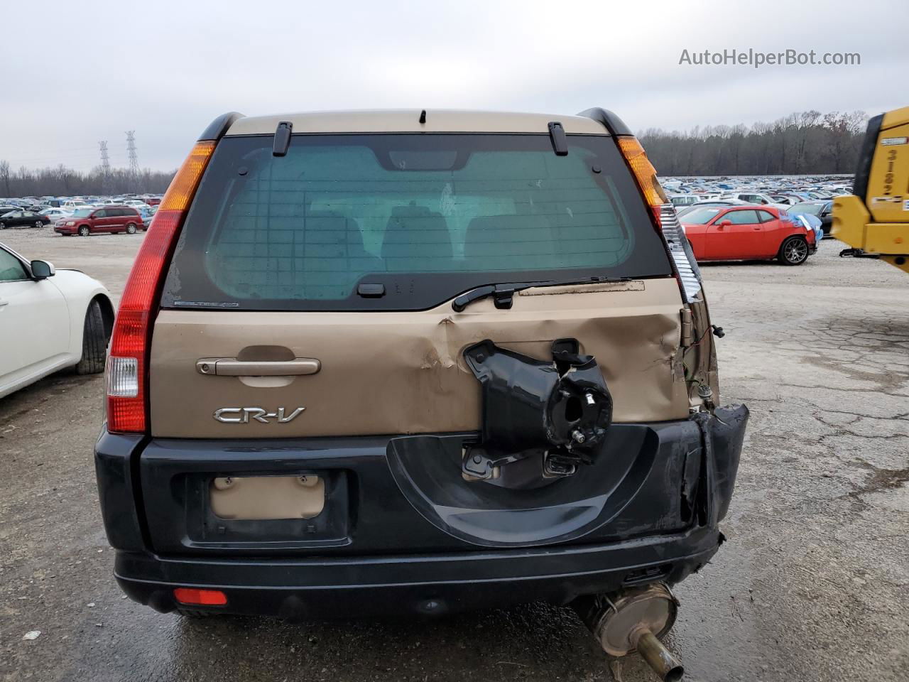 2004 Honda Cr-v Ex Коричневый vin: SHSRD78834U207254